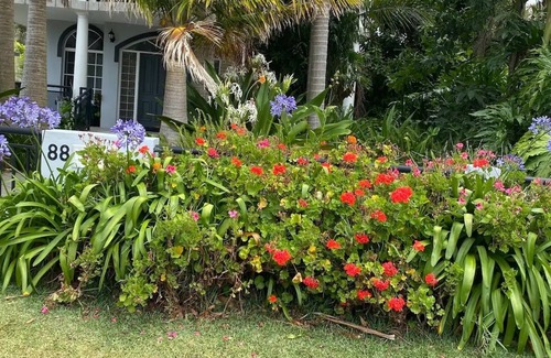 Callala Bay Appartement | A Cozy Room 3 minutes walk to Callala Bay beach.