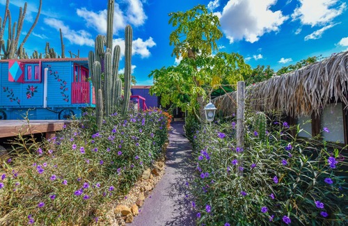 Oranjestad Lit Et Petit-Déjeuner | A Creative Boho Oasis in Aruba — Long-Stay Haven & Yoga Venue