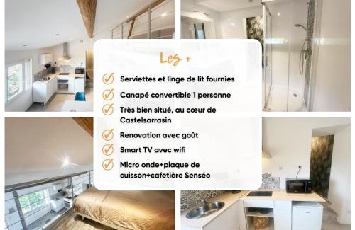 Castelsarrasin Appartement | A deux pas des péniches