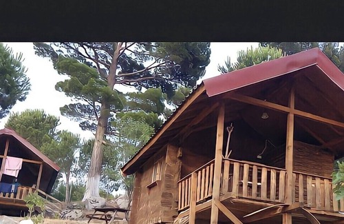 Zeytinli Cabine | Vacation with a difference in Turkey