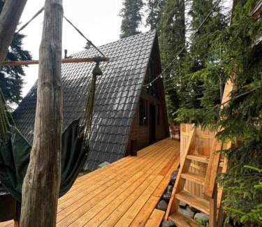 Bakhmaro Chalet De Ski | A-Frame Bakhmaro