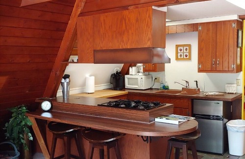 Manhattan Cottage | Une chambre en A avec vue sur le magnifique Pine Creek (approvisionné)!