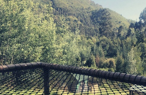 Sutatausa Cabine | A-Frame cabin in the forest with mountain view