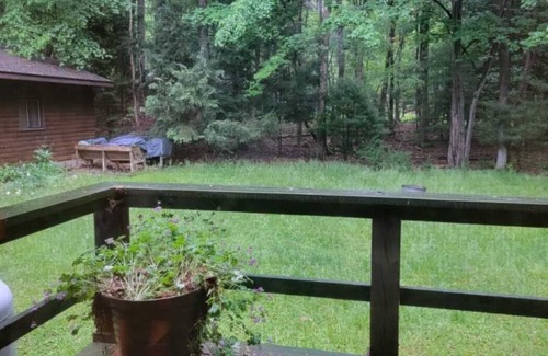 Jonas Cabine | A gem in the woods!