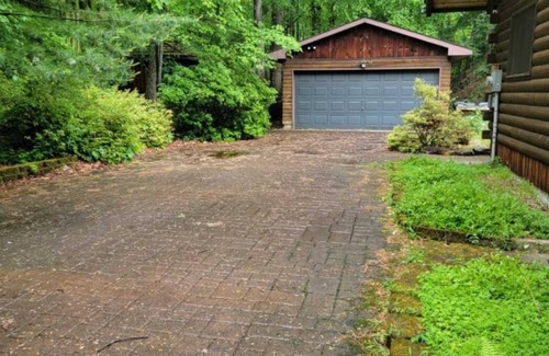 Jonas Cabine | A gem in the woods!