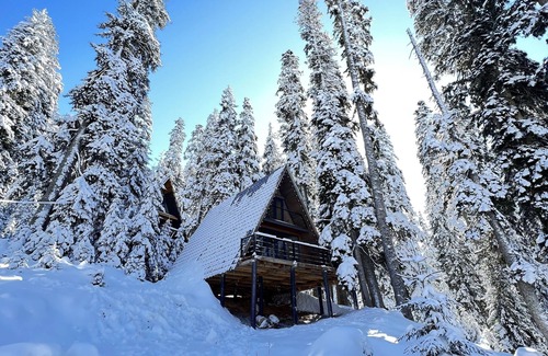 Bakhmaro Cottage | A house in the forest, if you want to relax in the forest and be alone. hot tub