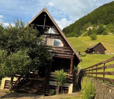 Dambovicioara Chalet De Ski | A Hunter's Lodge