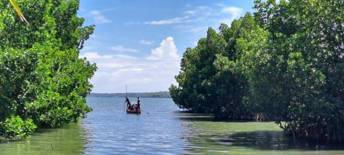 Munroe Island Maison | A K Munroe Homestay