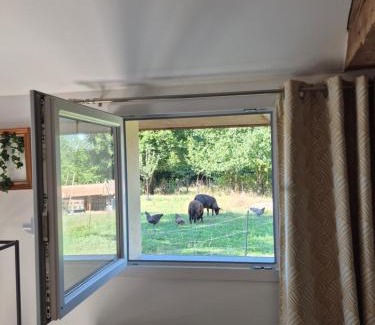 Les Repots Maison | A La Maison