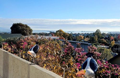 Richmond Maison | Family Fun on Queen St