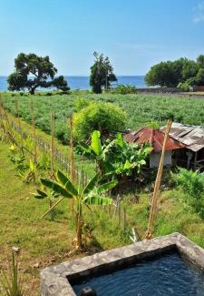 Kalisada Autre | A Mango Tree House with a private swimming pool