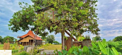 Kalisada Autre | A Mango Tree House with a private swimming pool