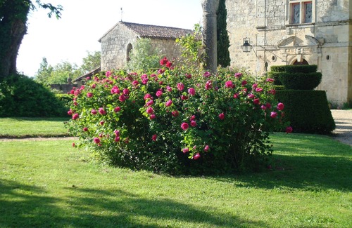 Frechou Maison | Une expérience mémorable et romantique au Château du Fréchou et ses jardins