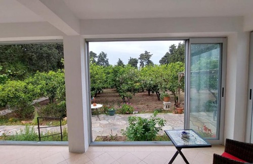 Gumusluk Appartement | A peaceful house for the mandarin garden in Gümüşlük