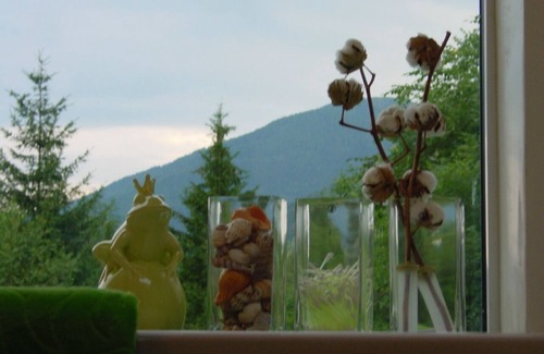 Feld am See Maison | A pearl with charm Field by the lake, detached with plotPets allowed