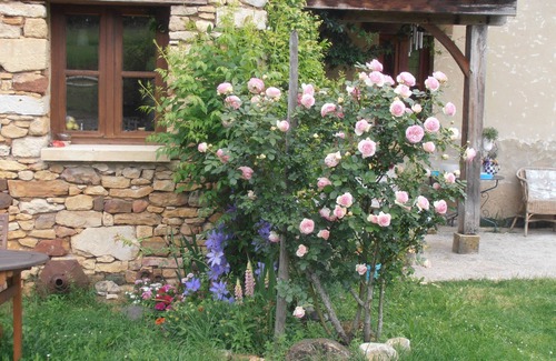 Marnac Maison | Une maison périgourdine avec un beau jardin et une piscine.