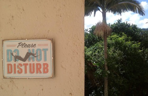 Lagoa da Conceicao Appartement | A Piece Of Paradise In The Middle Of The Island!