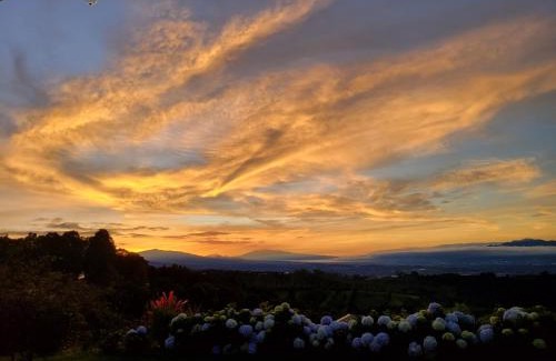 Naranjo Maison | A place to create dreams