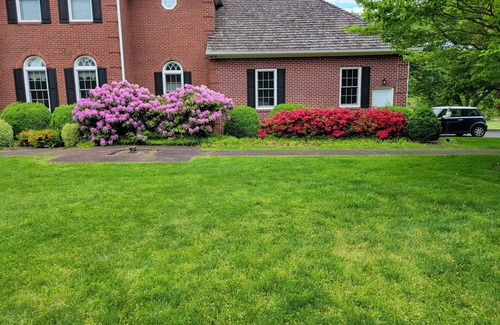 Brookeville Maison | A private and peaceful oasis with all amenities in quiet scenic Brookeville
