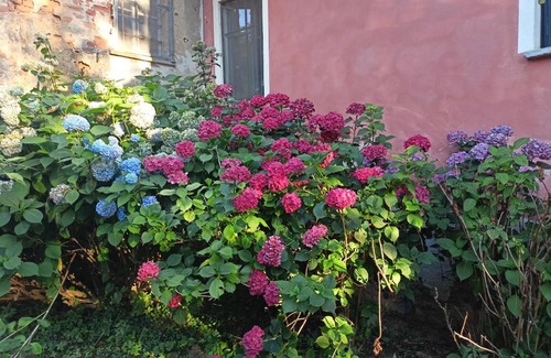 Pecetto Torinese Maison | A romantic suite in the countryside near Torino