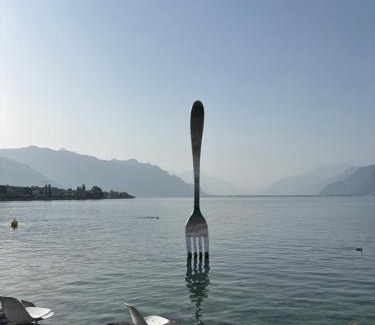 Vevey Appartement | A room in the heart of Vevey's old town