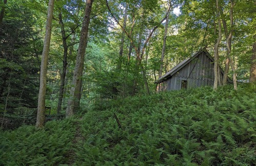 Rockbridge Cabine | A secluded couples retreat set in a mature forest in the beautiful Hocking Hills
