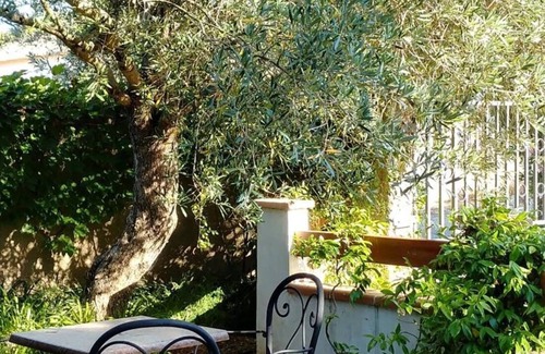 Santa-Severa Appartement | A teppa - L'olivier avec terrace