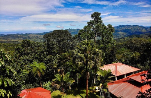 Baru Maison | A tranquil Balinese-inspired jungle oasis