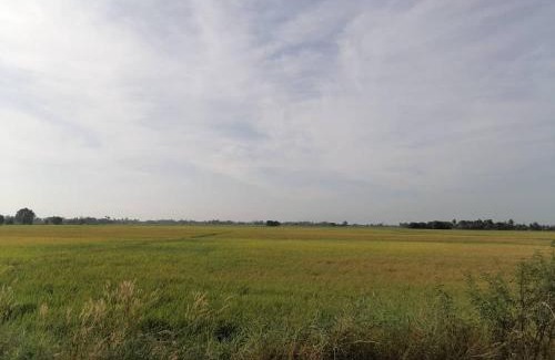 Kota Setar District Maison | Aaira Homestay d'Alor Setar
