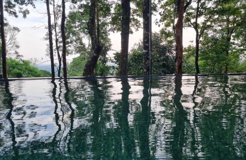 Vayittiri Station Balnéaire | Aambal Wayanad Pool House Resort by Veda Retreat