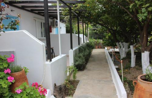 Ferma Appartement | Aaron Apartments