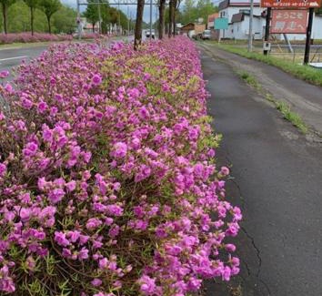 Yobito Hôtel | Abashiri - Hotel / Vacation STAY 16174