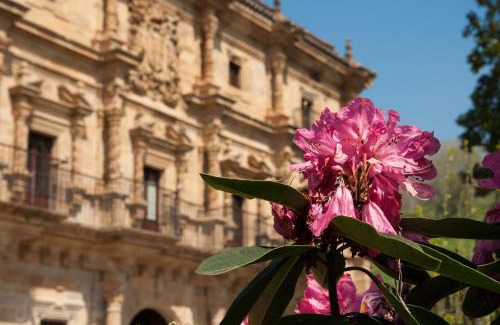 Barrio de Camino Hôtel | Abba Palacio de Soñanes Hotel