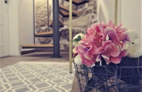 Castro Daire Maison | Abrigo do Mezio - Country House