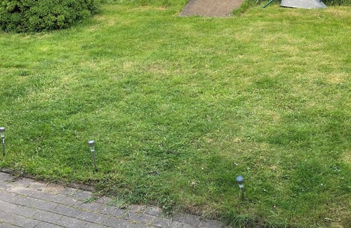 Hohen Demzin Appartement | Abschalten von der Städtischen Hektik und Rein ins Landleben