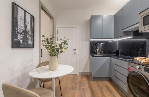 Chamberi Appartement | Accessible 2-Single Bed Apartment in Chamberí Adapted Bathroom, Quevedo III