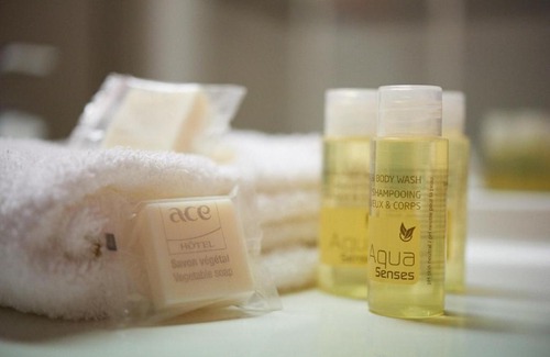 Saint-Andre-les-Vergers Hôtel | Ace Hotel Troyes