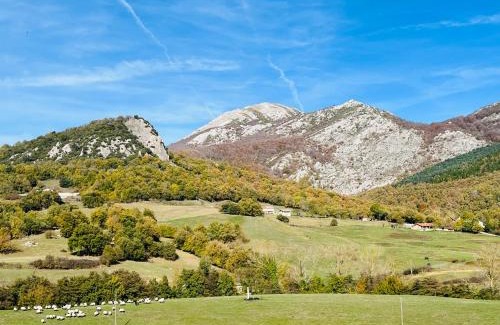 Araia Appartement | Acogedor apartamento equipado parque natural Aitzgorri-Aratz