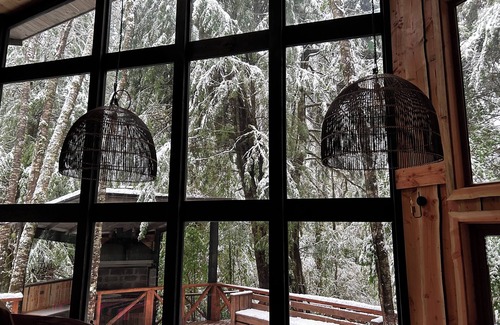 Panguipulli Maison | Acogedora Cabaña Ubicada en el sur de Chile, en Medio de la Reserva Huilo Huilo