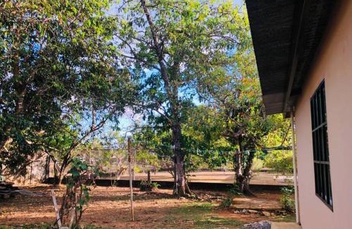 David Appartement | Acogedora vivienda anexa en un barrio tranquilo