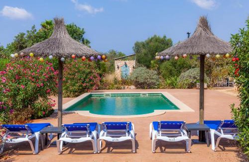 Son Antem Villa | Acuario