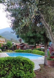 Adrasan Hôtel | Ada Adrasan Hotel