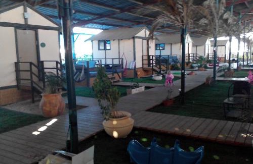 Eliad Autre | Adam's Farm