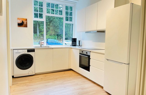 Aalborg Appartement | aday - Aalborg mansion - Big apartment with garden