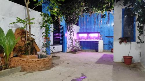 Mysore Cabine | ADH Amilia Gardens