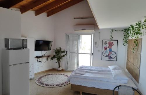 Arad Appartement | Adi studio