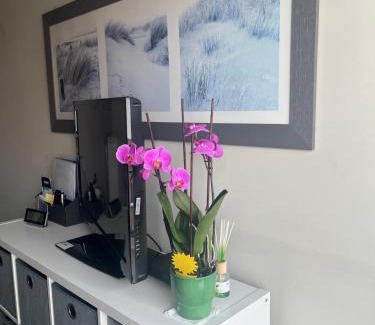 De Panne Appartement | Adora appartement