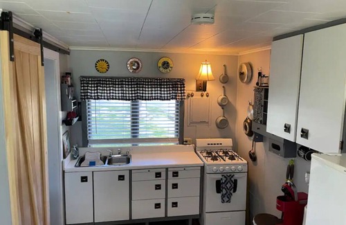 Ellicottville Maison | Adorable Tiny House in heart of Ellicottville - minutes to ski, walk to town