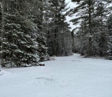 Michigamme Maison | Adventure Cabin on Lake Ruth