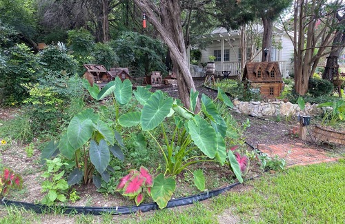 Lake Whitney Cottage | Adventure Cottage at Lake Whitney